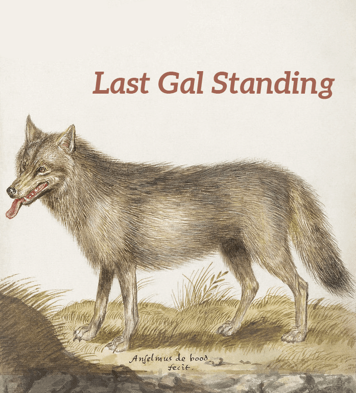 Illustration from the public domain: Wolf, Canis lupus (1596–1610) by Anselmus Boëtius de Boodt. Text had been added in a ruddy pink color matching the wolf's tongue reading "Last Gal Standing," referring to Mindy Aronoff, BAVC's longest staff member.